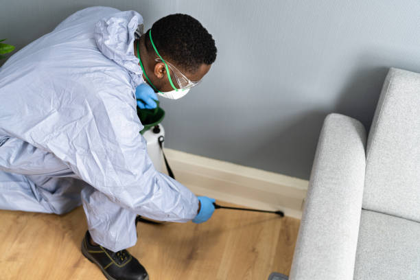 Reliable Lisbon, ND Pest Control Solutions